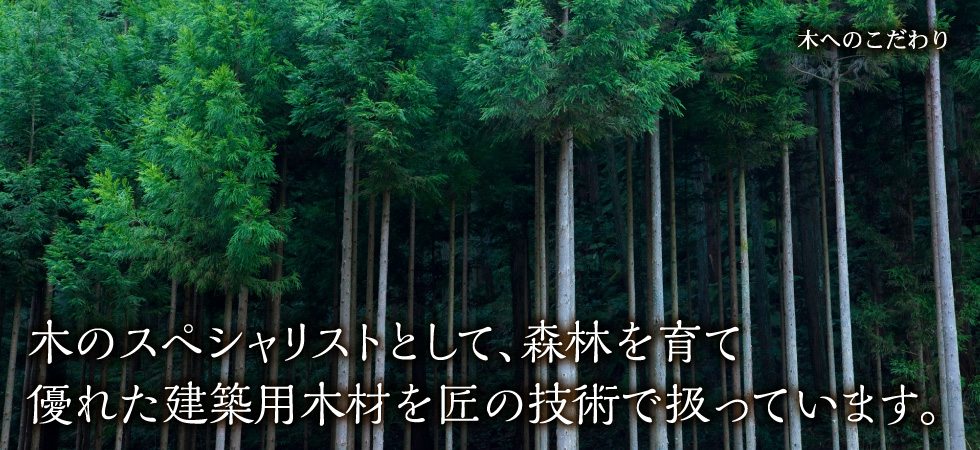 木へのこだわり｜木のスペシャリストとして、森林を育て優れた建築用木材を匠の技術で扱っています。